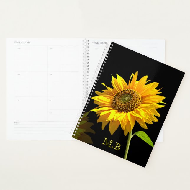 Tournesol brillant sur Arrière - plan noir (Devant avec enveloppe)