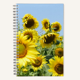 Tournesol carnet spirale