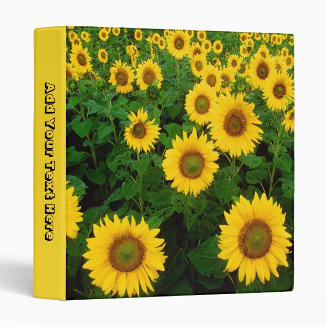 Tournesol classeur de 1 pouce (Devant/Côté)