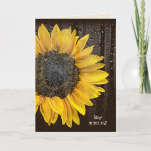 Tournesol d'anniversaire avec carte Raindrops