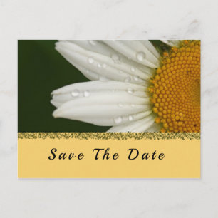 Tournesol d'été Enregistrer la date Carte postale