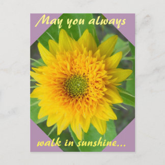 Tournesol diamant avec carte postale de message in