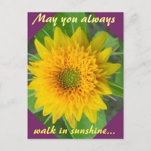 Tournesol diamant avec carte postale de message in