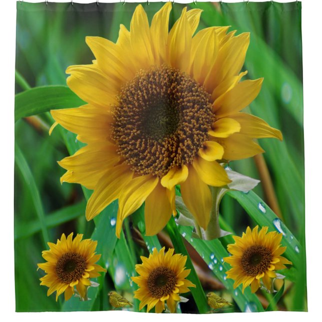 Tournesol Douche rideaux (Devant)