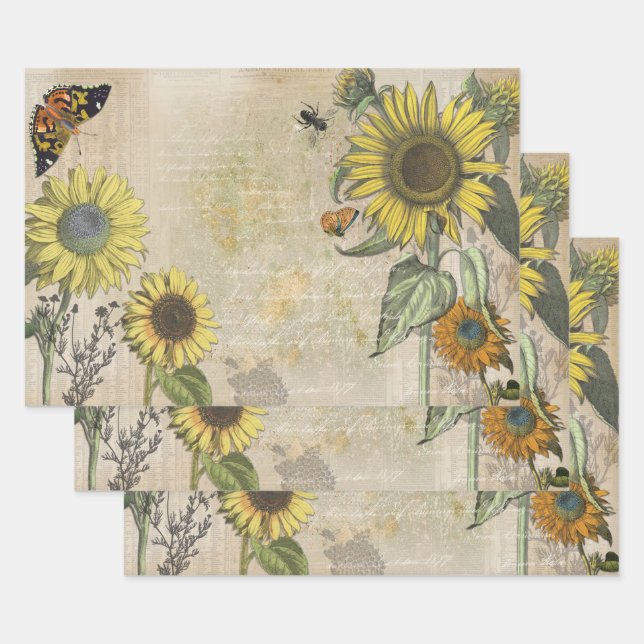 Tournesol Dreams Envelopper les feuilles de papier (Lot)