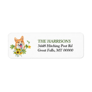 Tournesol Eucalyptus Pembroke Welsh Corgi Chien