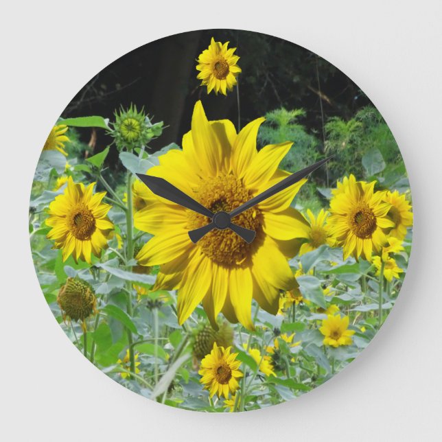 Tournesol Field & Tournesol Wall Horloge (Recto)