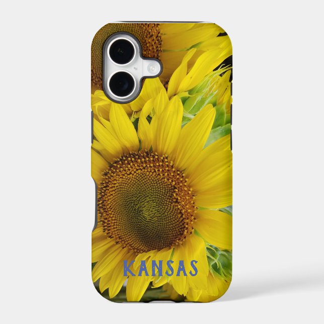 Tournesol fleur de l'État du Kansas (Verso)
