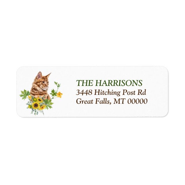 Tournesol Ginger Maine Coon (Devant)