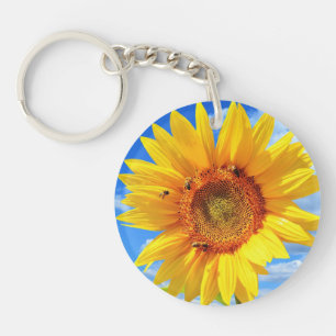 Tournesol jaune et abeilles sur le ciel bleu - Jou