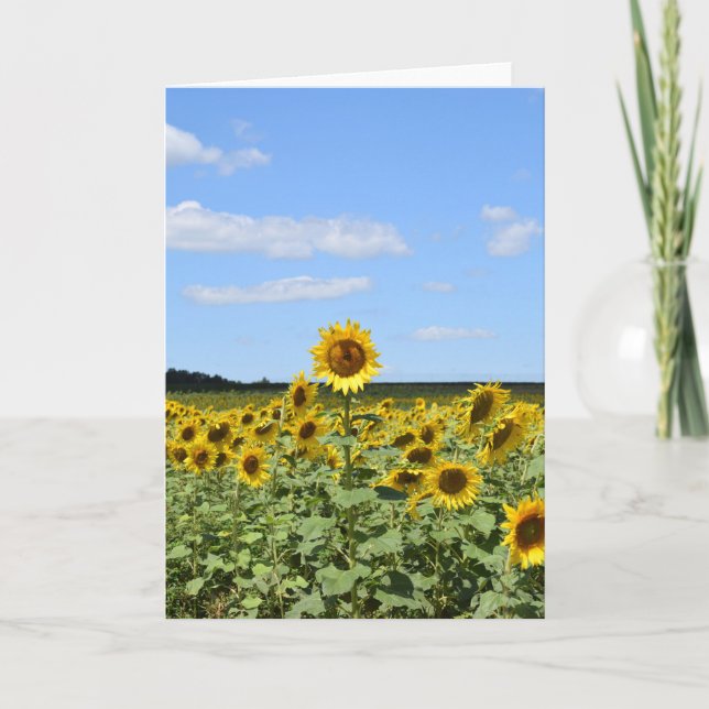 Tournesol le plus haut - Carte de voeux inspirante (Devant)