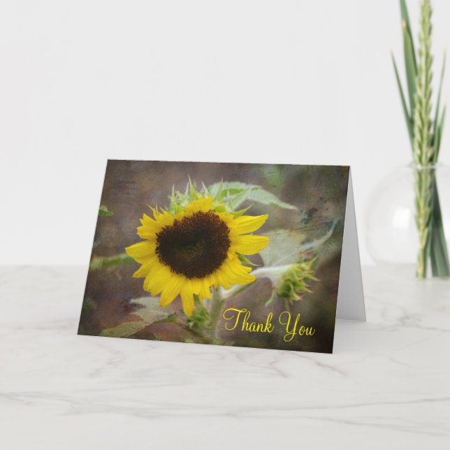 Tournesol Merci (Devant)