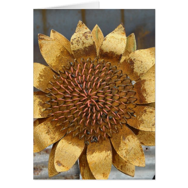 Tournesol métallique (Devant)