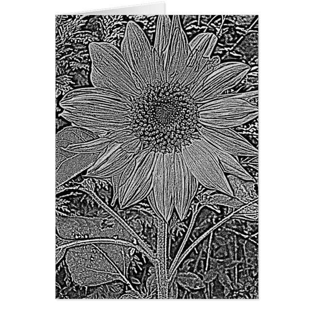 tournesol noir et blanc contemporain (Devant)