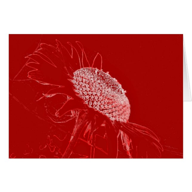 Tournesol rouge (Devant horizontal)