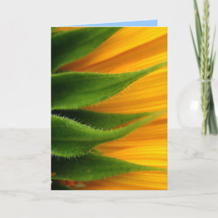 Tournesol Se Bien Bientôt Carte De Voeux