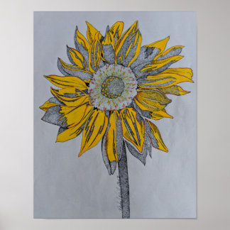 Tournesol, sunflower, Yellow flower, Yellow art Poster
