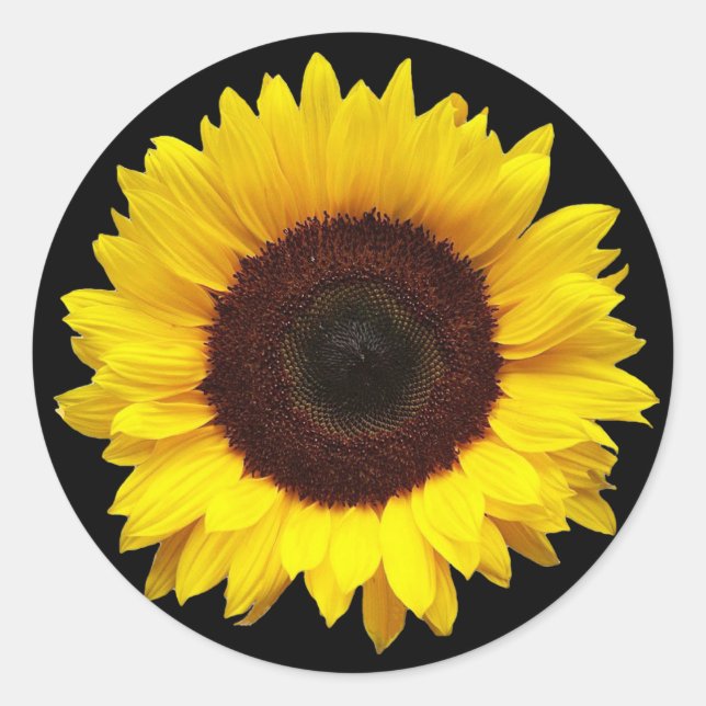 Tournesol sur Stickers Enveloppe ronde noire (Devant)