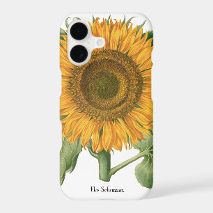 Tournesol vintage par Basilius Besler