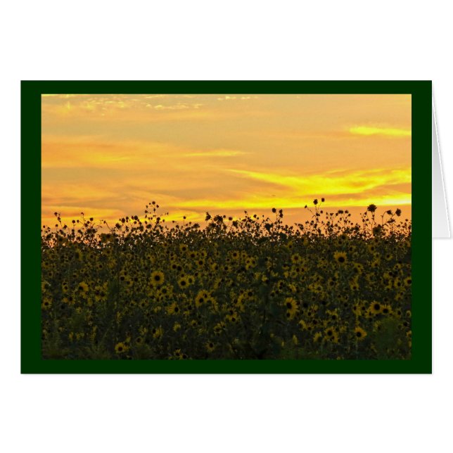 Tournesols au crépuscule (Devant horizontal)