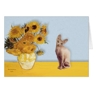 Tournesols - Crème Sphyx cat
