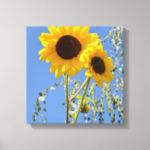 Tournesols dans la copie de toile de ciel