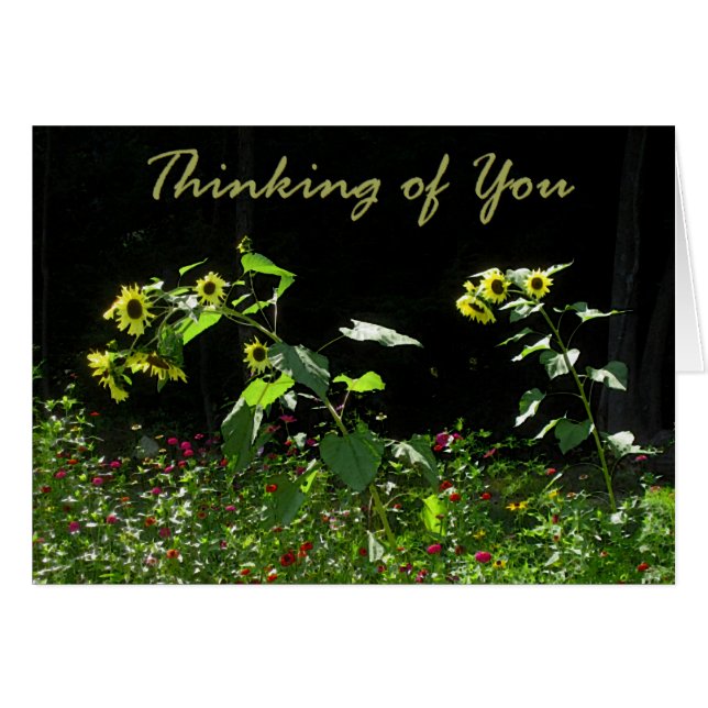 Tournesols et fleurs sauvages (Devant horizontal)