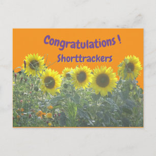 Tournesols Félicitations Texte Carte Postale perso