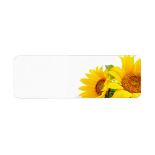 Tournesols jaunes épousant ou adresse vide