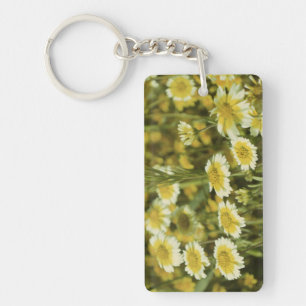 Tournesols jaunes et blancs fleur sauvage