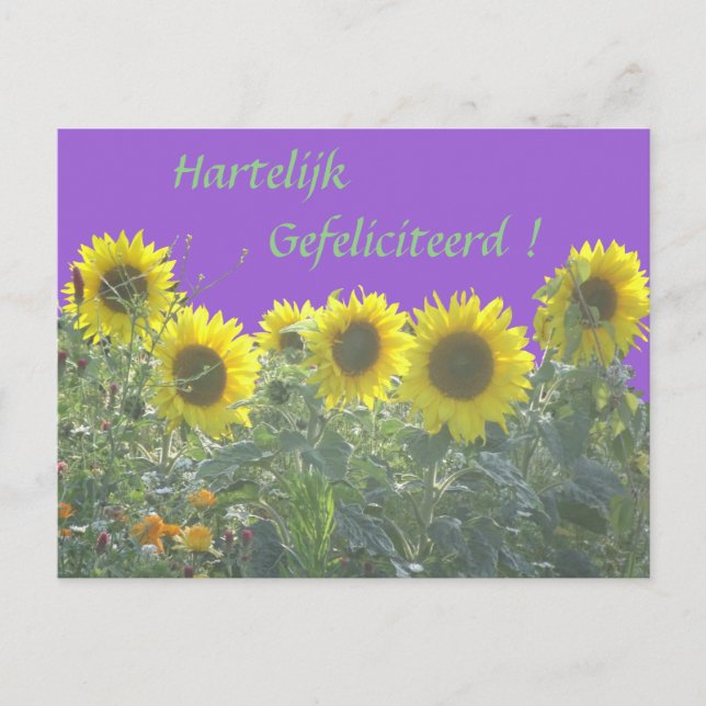 Tournesols Joyeux Anniversaire sur carte postale n (Devant)