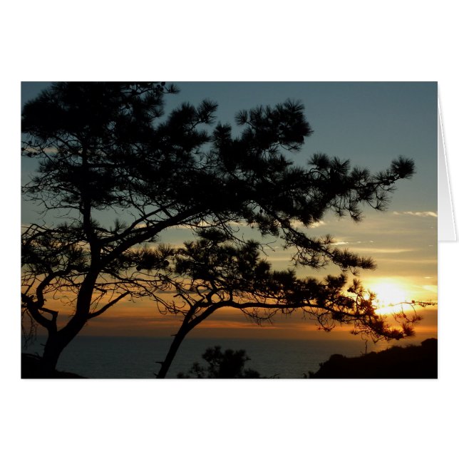 Tourrey Pine Sunset I California Paysage (Devant horizontal)