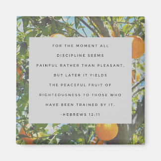 Tous les aimants de discipline