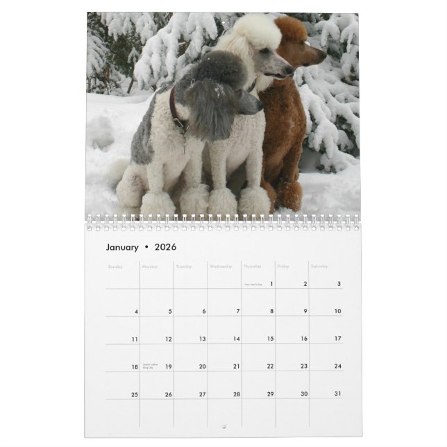 Tous les chiens sont de calendrier de ciel (Jan 2026)