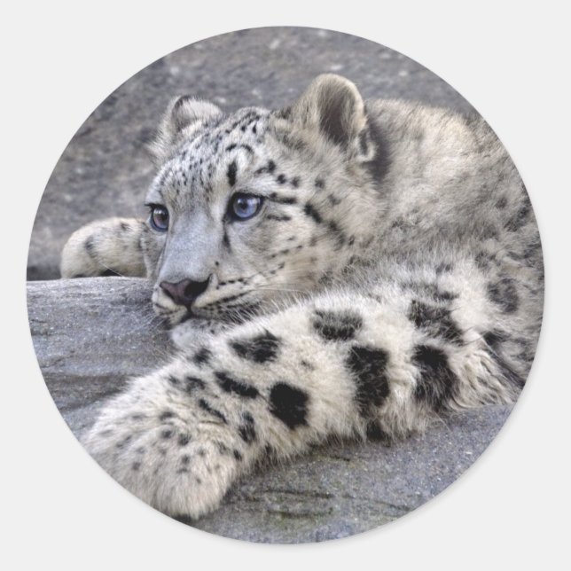 Tous les Sticker Joués (Devant)