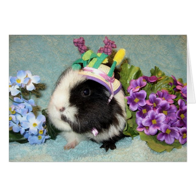 Tous se sont habillés (Devant horizontal)