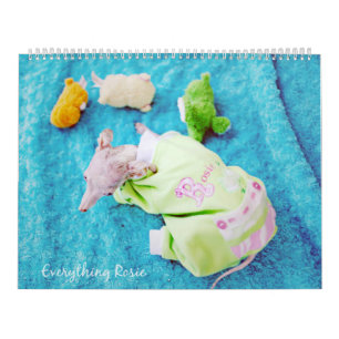 Tout calendrier de Rosie