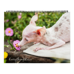 Tout calendrier de Rosie