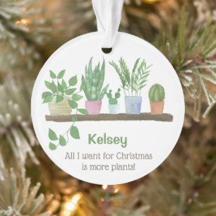 Tout ce que je veux pour Noël, c'est plus de plant