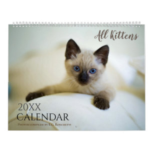 Tout Chatons Mignons Calendrier Mural 2027 Cadeau