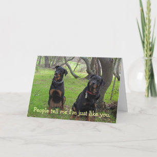 Tout comme vous Rottweiler la carte de la fête des