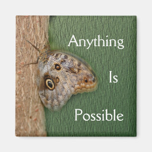 Tout Est Possible Magnet Papillon