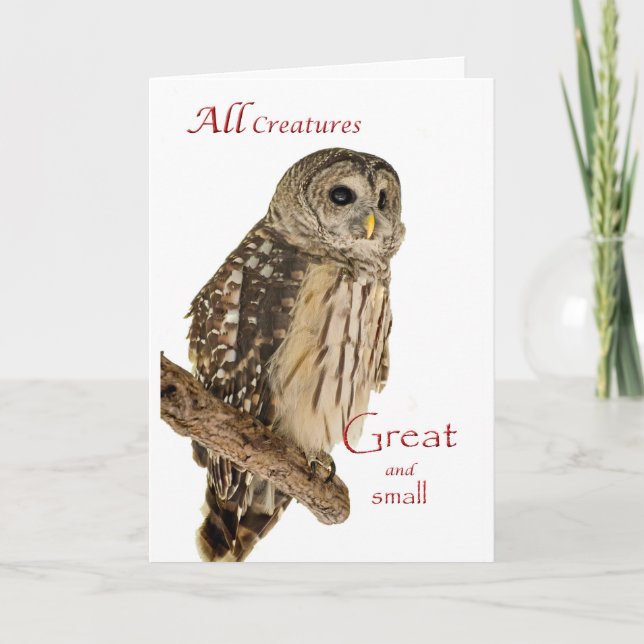 Toute la carte de Noël de créatures (Devant)
