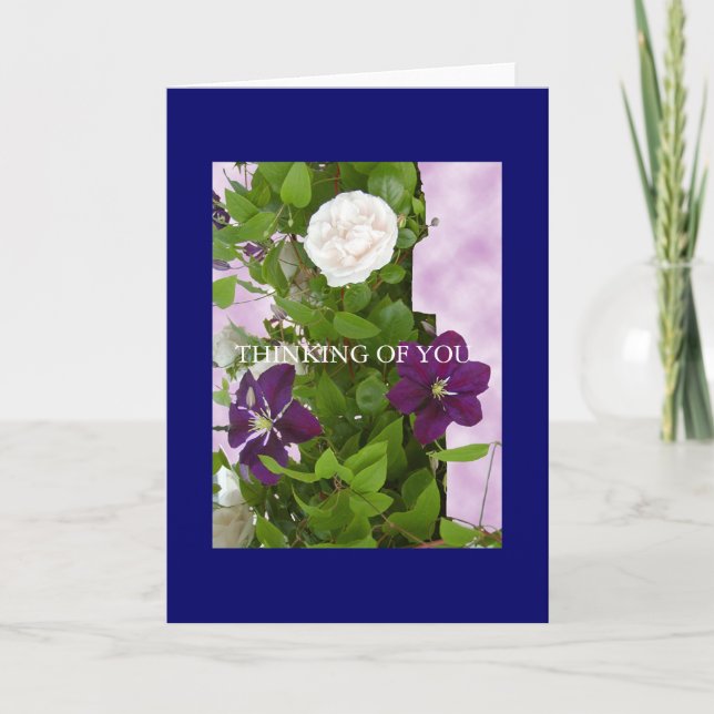 Toute la carte de Pupose (Devant)