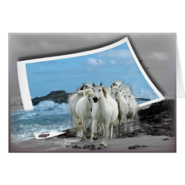 Toute la carte d'occasion (Devant horizontal)