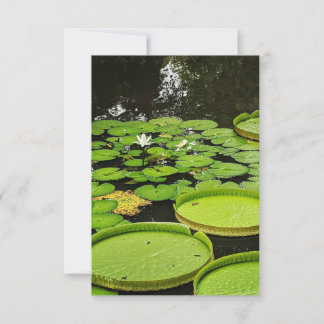 Toutes les cartes d'occasion