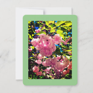 Toutes les cartes d'occasion, taille : 4,25 po x 5