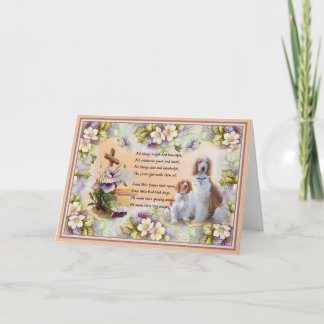 Toutes les choses brillantes et belle carte de voe