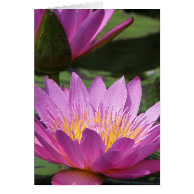 toutes les occasions (Devant)