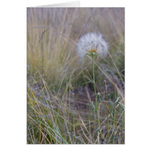 Toutes les petites choses